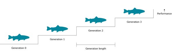 Generation length - Troutex
